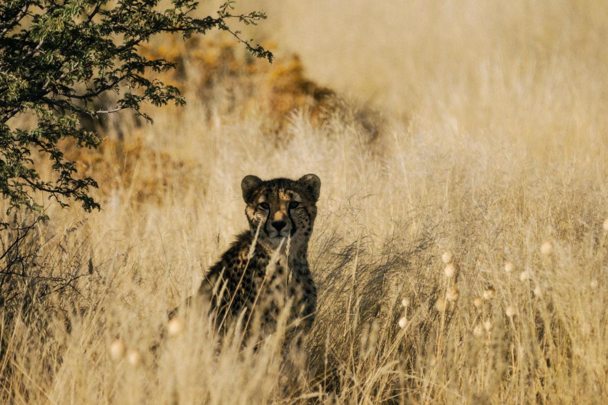 Our Habitas Namibia Ξενοδοχείο Βίντχουκ Εξωτερικό φωτογραφία